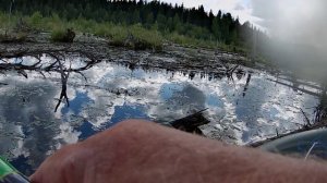 Ловля карпа.mp4