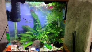 Детский аквариум jebo R338, отличный и удобный