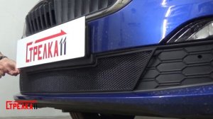 Защита радиатора SKODA RAPID II с 2019г.в. (Черный) - strelka11.ru