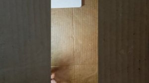 Galaxy S9 Plus и дефектный дисплей с Алиэкспресс