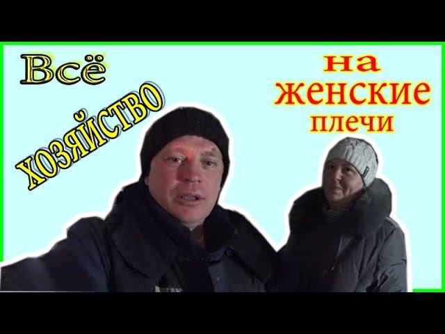 Всех поросят под Машину опеку //Деревенская жизнь