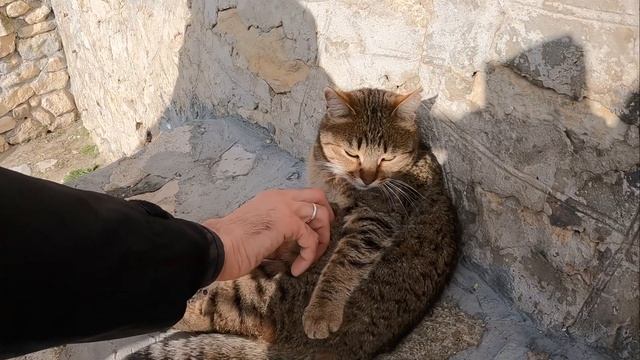 Мыс Фиолент Яшмовый пляж Крым