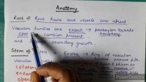 General Characteristics of Gymnosperms (in english )|For B.Sc. and M.Sc.| GYMNOSPERM LECTURE NO- 01