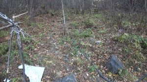 Термальные источники, Приморский край.