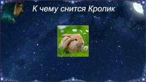 К чему снится Кролик (Сонник)