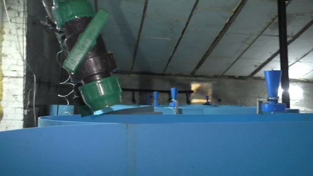 Проблемы в моем мальковнике смотреть онлайн