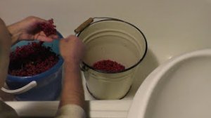 Мой опыт приготовления вина из калины
