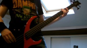 "Chop Suey!" System Of A Down Bass Cover