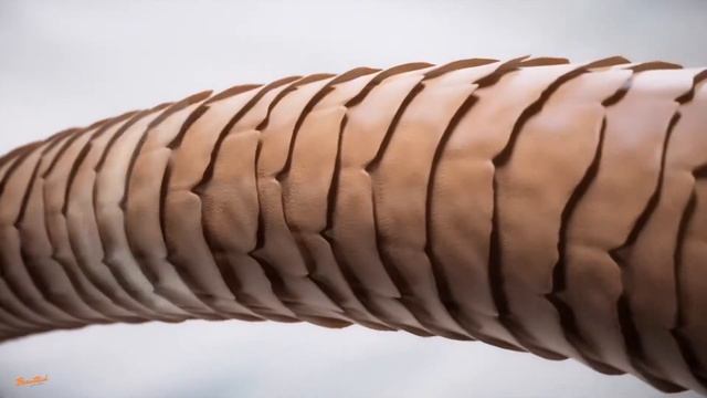 Wella Fusion hair care by Oksana Abdullayeva/Beauttech Hilton Baku смотреть онлайн