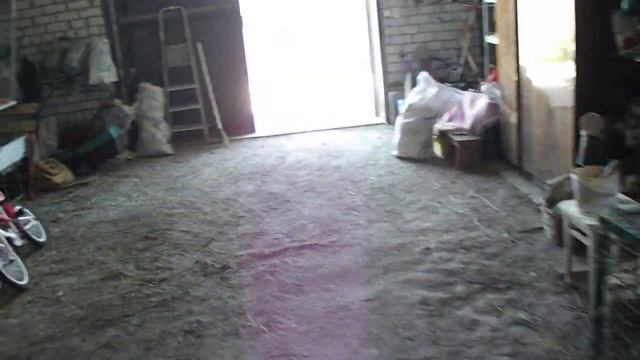 Кролики породы черно-огненные. Рацион питания. Профилактика заболеваний. смотреть онлайн