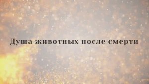 Душа животных после смерти