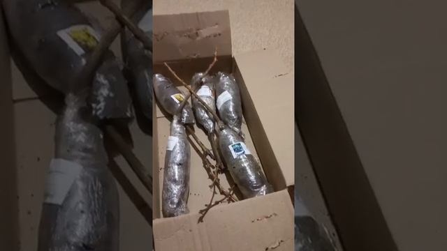 "Отзыв Агромаркет (відгук)" смотреть онлайн