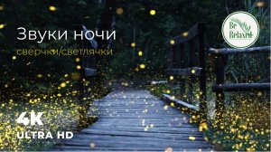 Медитация | Сверчки | Музыка для сна | Крепкий сон