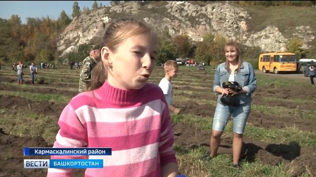 Рядом с Голубым озером в Кармаскалинском районе высадили 12 тысяч сеянцев деревь смотреть онлайн