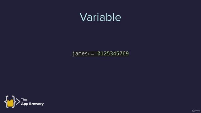 Python Variables | 100 Days of Code: The Complete Python Pro Bootcamp for 2022
