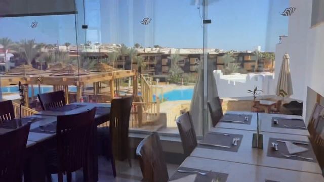 Египет 2022❗️ШОК от Savoy Hotel❗️Эмоции зашкаливают! смотреть онлайн