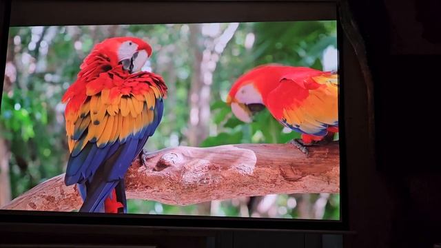 ОБЗОР ПРОЕКТОР BenQ W2700I 2023 4K HDR  против проектора EPSON EH-TW70007100. DLP ПРОТИВ 3LCD