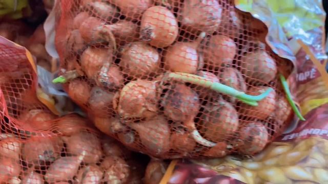 ФИКС ПРАЙС ГЛАВНЫЙ КОНКУРЕНТ СВЕТОФОРА? Что выберете вы? Новинки Светофор vs Фикспрайс март 2021 смотреть онлайн