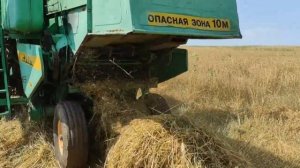 Уборка ячменя 2021. Сырой или нет?