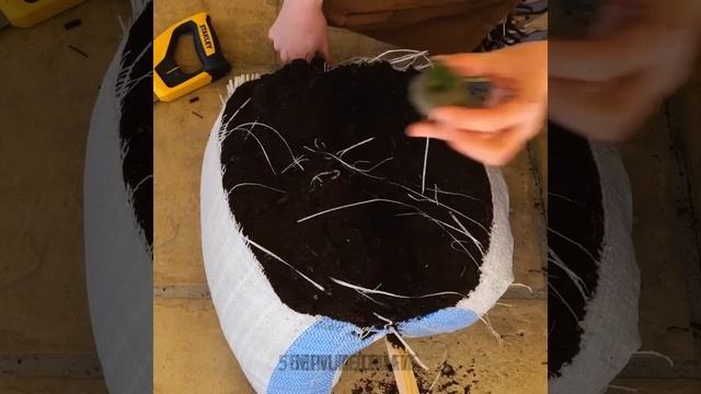 Хаки для пробуждения внутреннего садового волшебника! смотреть онлайн