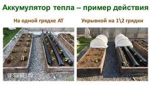 Аккумулятор тепла для защиты растений от заморозков (видеоинструкция)