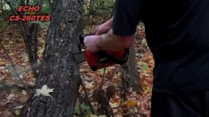 Бензопила Echo CS-260TES-10