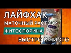 Как приготовить концентрат ФИТОСПОРИНА и не испачкаться |Обработки от болезней | Дневник садовода