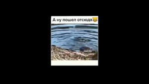 видеоподборка №3