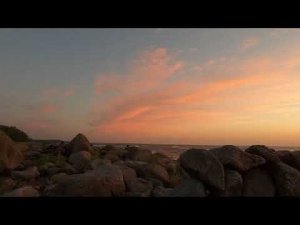 Охота на гуся и утку на перелётах или как я подпортил налёт себе и коллегам...:( 29.09.2023