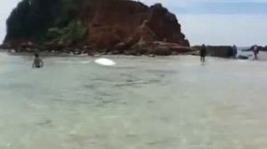 Шри-Ланка | Своим ходом за 12 дней