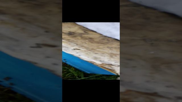 Подселение не плодной Матки в отводок смотреть онлайн