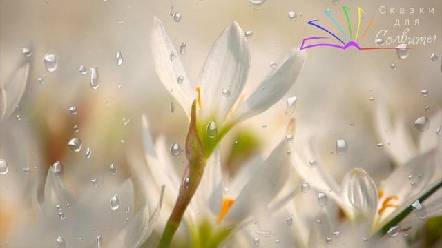 Подснежник | Анна Саксе | Сказки о цветах | Аудиосказка смотреть онлайн