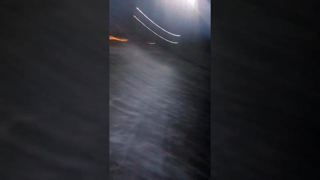 МЕМ ТОПОЛЯ ИЛИ БЕРЕЗА смотреть онлайн