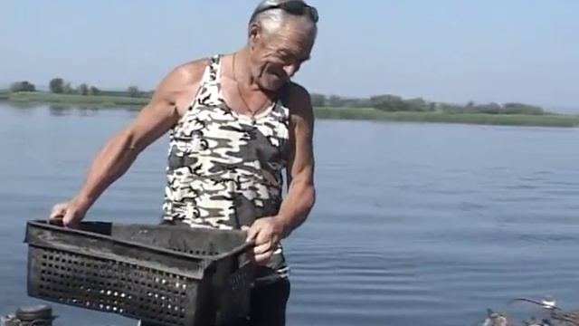 Больная рыба