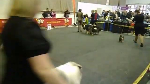 P1050128 смотреть онлайн