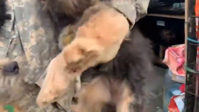 НАОМИ и НИКОЛЬ ищут дом! смотреть онлайн