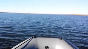КомпАс 330 + Тохатсу 9.8 максимальная скорость