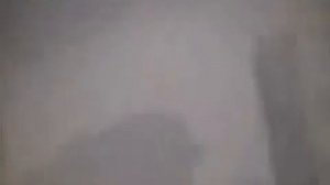 Ребенок упал в вольер с гориллами
