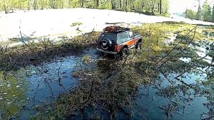 Traxxas TRX4 Ford Bronco 79's forest trip