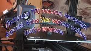 Подсушил TPU пластик пробная печать на Anycubic Kobra 2Neo