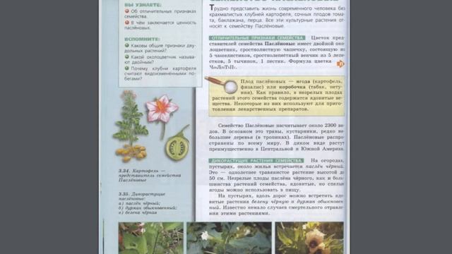 Биология (Л.Н.Сухорукова) 7к §22 Класс Двудольные. Семейство Паслёновые