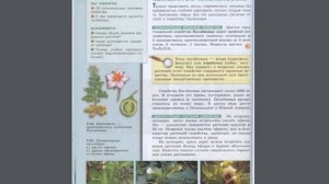 Биология (Л.Н.Сухорукова) 7к §22 Класс Двудольные. Семейство Паслёновые