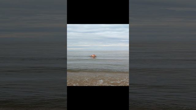 1000041792.mp4
