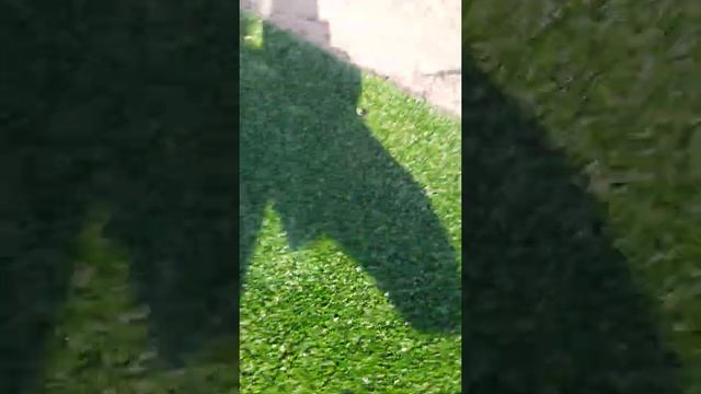 4 часть моего мучнте смотреть онлайн