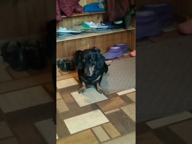 21 апреля 2023 г. смотреть онлайн