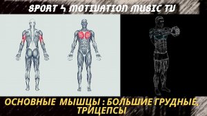 Жим Свенда. Техника с блином.