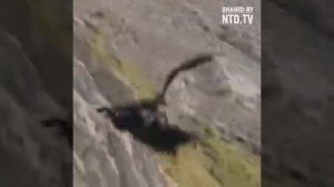 Ахота