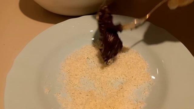 Шоколадные Трюфели С Кокосом | Рецепт смотреть онлайн