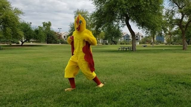 Dance Chicken - Chicken Dance