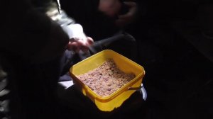 РЫБАЛКА НА САЗАНА ЗИМОЙ. САЗАН НА КУКУРУЗУ